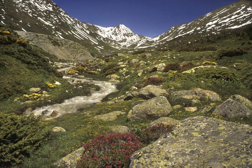 无人,横图,室外,白天,仰视,旅游,度假,草地,草坪,河流,石头,美景,山,水,雪,雪山,植物,大雪,法国,西班牙,欧洲,阴影,盛开,光线,石子,影子,冰,河水,积雪,景观,山顶,山峰,水流,雪景,冬季,冬天,山峦,花蕾,娱乐,草,花,花瓣,花朵,鲜花,蓝色,绿色,蓝天,天空,小溪,阳光,自然,天,溪水,花苞,花蕊,享受,休闲,景色,放松,寒冷,晴朗,冰冷,南欧,自然风光,万里无云,法兰西共和国,西班牙王国,法兰西第五共和国,严寒,冰凉,酷寒,凛冽,凛凛,极冷,颠峰,极峰,比利牛斯山脉,石块,岩石,晴空,晴空万里,彩图,低角度拍摄