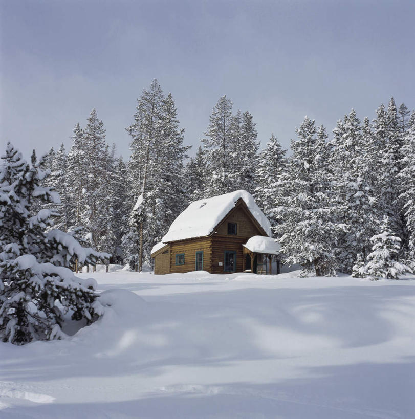 无人,家,木屋,竖图,室外,白天,正面,旅游,度假,美景,森林,山,树林,雪,雪山,植物,大雪,城市,美国,阴影,光线,影子,冰,积雪,景观,山峰,雪景,云,云朵,冬季,冬天,山峦,云彩,娱乐,住宅,树,树木,蓝色,绿色,白云,蓝天,天空,阳光,自然,天,享受,休闲,景色,放松,寒冷,生长,晴朗,成长,冰冷,北美,北美洲,自然风光,美洲,爱达荷州,北亚美利加洲,亚美利加洲,严寒,冰凉,酷寒,凛冽,凛凛,极冷,爱达荷,爱达华州,宝石之州,宝石州,太阳谷,森瓦利,谷峰会,晴空,彩图,茅舍,茅屋,棚屋,小木屋,小屋