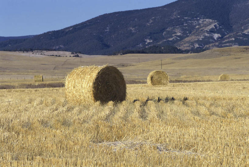 无人,农田,横图,室外,白天,正面,旅游,度假,庄稼,农作物,美景,山,山脉,美国,收成,阴影,光线,影子,景观,山峰,干草,山峦,娱乐,蓝色,蓝天,天空,阳光,自然,草垛,群山,天,享受,休闲,景色,放松,收获,晴朗,北美,北美洲,加利福尼亚,自然风光,美洲,加州,加利福尼亚州,万里无云,金州,黄金州,北亚美利加洲,亚美利加洲,劳绩,圣克拉拉县,干草垛,旧金山湾,斯坦福,斯坦福大学,小利兰.斯坦福大学,晴空,晴空万里,彩图,耕地,庄稼田