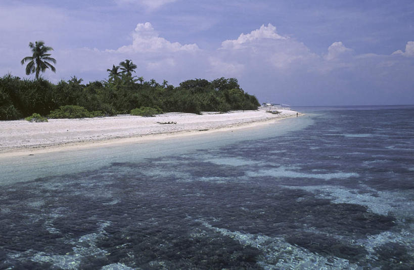 无人,横图,室外,白天,正面,旅游,度假,海浪,海洋,美景,沙滩,树林,植物,棕榈树,叶子,菲律宾,亚洲,阴影,光线,沙子,影子,海岸,景观,浪花,水平线,云,云朵,辽阔,绿叶,海平线,沙地,云彩,娱乐,树,树木,蓝色,绿色,白云,蓝天,天空,阳光,自然,海水,天,享受,休闲,广阔,嫩叶,景色,放松,东南亚,生长,晴朗,成长,一望无际,自然风光,海景,棕榈叶,薄荷岛,菲律宾共和国,米沙鄢,米沙鄢群岛,无边无际,一马平川,保和岛,保和,叶,叶片,大海,风浪,海,海水的波动,海滩,近岸浪,涌浪,晴空,彩图,水天相接,水天一线