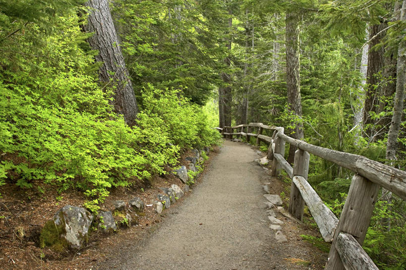 无人,栏杆,横图,室外,白天,正面,旅游,度假,火山,美景,森林,树林,植物,道路,路,华盛顿,美国,景观,围栏,小路,交通,娱乐,护栏,树,树木,绿色,自然,享受,休闲,景色,放松,乡间小路,生长,成长,北美,北美洲,自然风光,美洲,华盛顿州,西雅图,雷尼尔山国家公园,瑞尼尔山国家公园,常绿之州,常青州,北亚美利加洲,亚美利加洲,绿宝石城,翡翠之城,雨城,常绿之城,阿拉斯加门户,女王之城,喷气机之城,常青城,活火山,彩图