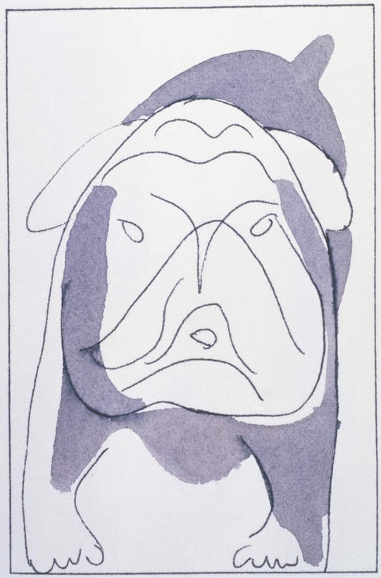 无人,站,竖图,室内,白天,正面,绘画,宠物,狗,艺术,斗牛犬,古典,注视,文化,一只,动物,工艺品,观察,看,品味,站着,可爱,观看,美术,水彩,察看,水彩画,高雅,关注,牛头犬,忠诚,英国斗牛犬,美学,斗牛狗,老虎狗,英国老虎犬,犬,站立,彩图,全身