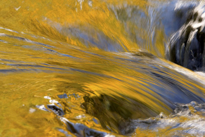 无人,公园,横图,俯视,室外,特写,白天,旅游,度假,河流,石头,美景,水,华盛顿,美国,朦胧,模糊,石子,河水,景观,水流,娱乐,自然,享受,休闲,景色,放松,北美,北美洲,国家公园,自然风光,美洲,华盛顿州,奥林匹克国家公园,沉积岩,首府,常绿之州,常青州,北亚美利加洲,亚美利加洲,奥林匹亚,奥林比亚,奥林佩亚,奥林匹克半岛,奥林匹亚国家公园,奥林比亚国家公园,奥林佩亚国家公园,水成岩,石块,岩石,彩图,高角度拍摄