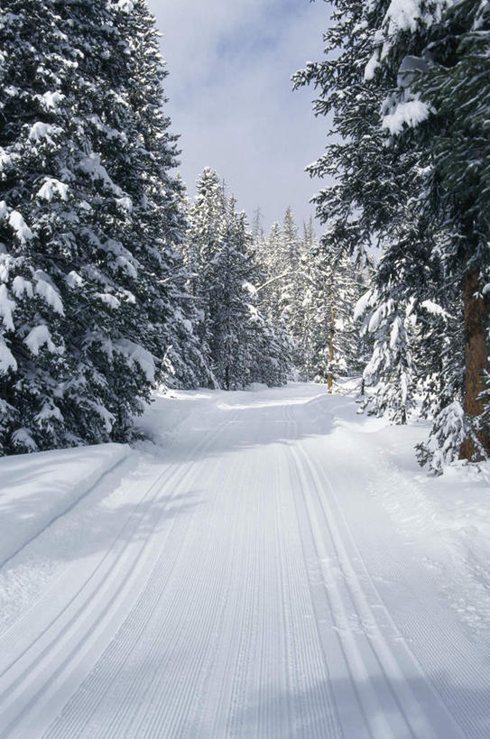 无人,竖图,室外,白天,正面,旅游,度假,美景,山,树林,雪,雪山,植物,大雪,城市,美国,冰,积雪,景观,山峰,雪景,冬季,冬天,山峦,痕迹,娱乐,树,树木,绿色,自然,享受,休闲,景色,放松,寒冷,生长,成长,冰冷,北美,北美洲,自然风光,美洲,爱达荷州,北亚美利加洲,亚美利加洲,严寒,冰凉,酷寒,凛冽,凛凛,极冷,爱达荷,爱达华州,宝石之州,宝石州,太阳谷,森瓦利,谷峰会,陈迹,彩图
