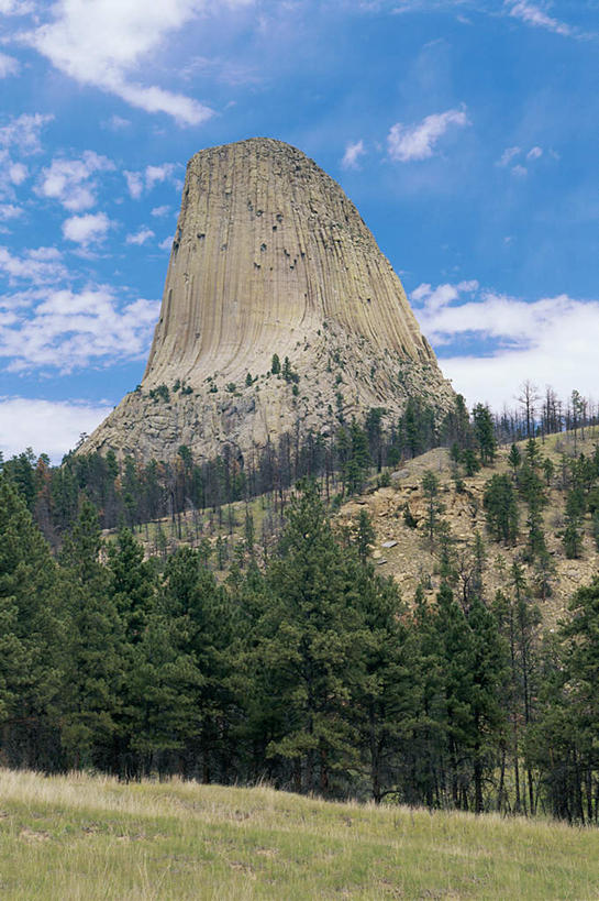 无人,竖图,室外,白天,正面,旅游,度假,草地,草坪,石头,美景,山,山脉,树林,植物,美国,阴影,光线,石子,影子,景观,山峰,云,云朵,纪念碑,山峦,云彩,娱乐,草,树,树木,蓝色,绿色,白云,蓝天,天空,阳光,自然,群山,天,享受,休闲,景色,放松,生长,晴朗,成长,北美,北美洲,自然风光,美洲,怀俄明州,怀俄明,北亚美利加洲,亚美利加洲,平等之州,魔鬼塔,魔鬼塔国家纪念碑,石块,岩石,晴空,彩图