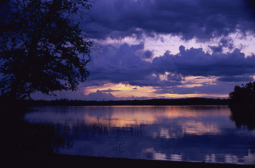 无人,横图,室外,白天,正面,旅游,度假,湖,湖泊,美景,日落,水,植物,巴西,湖面,景观,水流,水面,晚霞,霞光,落日,娱乐,树,树木,绿色,倒影,自然,黄昏,湖水,享受,休闲,景色,彩霞,南美,放松,湿地,生长,成长,南美洲,倒映,拉丁美洲,自然风光,美洲,巴西联邦共和国,亚美利加洲,南亚美利加洲,潘塔纳尔湿地,马托格罗索州,夕照,反照,夕阳,彩图,斜阳