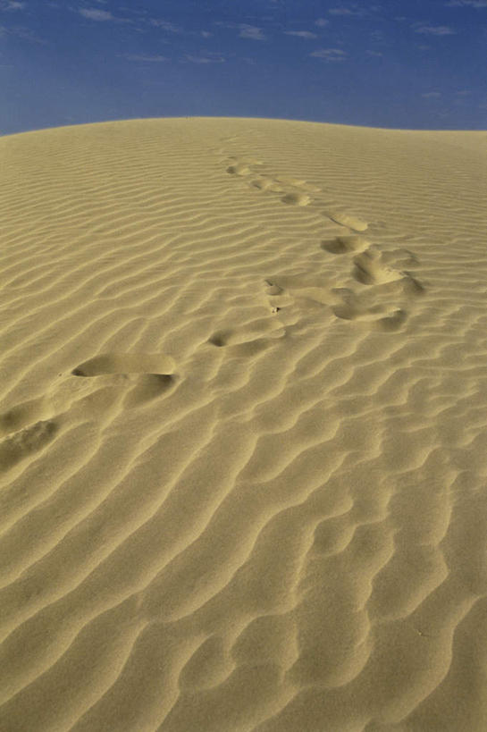无人,竖图,室外,白天,正面,旅游,度假,美景,沙漠,印度,亚洲,脚印,阴影,光线,影子,景观,云,云朵,云彩,娱乐,黄色,蓝色,白云,蓝天,天空,阳光,自然,天,享受,休闲,景色,放松,晴朗,炎热,足迹,自然风光,南亚,印度共和国,行踪,脚迹,酷热,燥热,大漠,砂漠,晴空,彩图