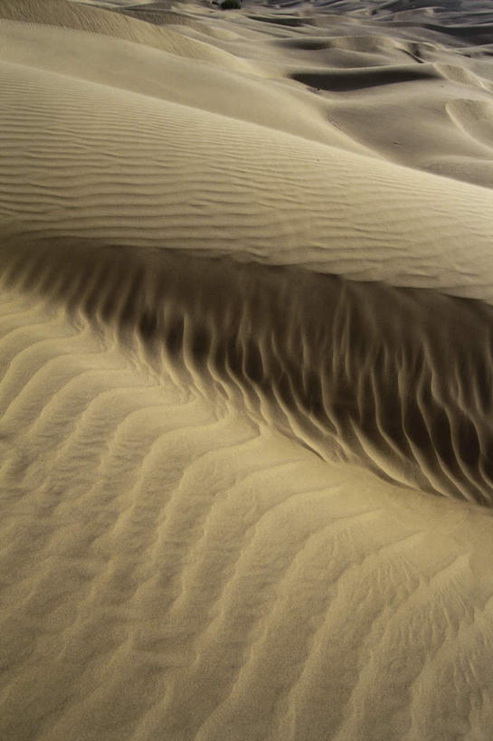 无人,竖图,室外,白天,正面,旅游,度假,美景,沙漠,印度,亚洲,阴影,光线,纹路,纹理,影子,景观,娱乐,黄色,阳光,自然,享受,休闲,景色,放松,炎热,自然风光,南亚,肌理,拉贾斯坦邦,拉贾斯坦,印度共和国,酷热,燥热,大漠,砂漠,彩图