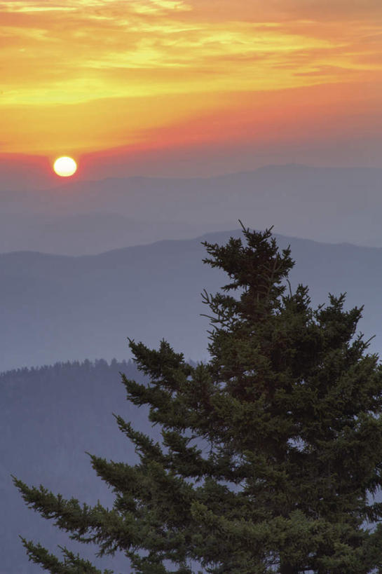 无人,竖图,室外,白天,正面,旅游,度假,美景,日落,山,山脉,太阳,植物,美国,景观,山峰,晚霞,霞光,落日,山峦,娱乐,树,树木,绿色,自然,黄昏,群山,享受,休闲,景色,彩霞,放松,生长,成长,北美,北美洲,自然风光,美洲,北卡罗来纳州,北亚美利加洲,亚美利加洲,北卡罗来纳,焦油脚根之州,黑油鞋根之州,老北州,大雾山国家公园,大烟山国家公园,大雾山公园,大烟山公园,大雾山,大烟山,夕照,夕阳,彩图,斜阳