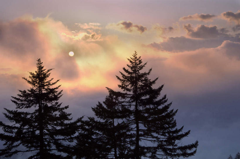 无人,公园,横图,室外,白天,正面,旅游,度假,美景,日落,太阳,植物,美国,景观,晚霞,霞光,落日,背光,娱乐,树,树木,绿色,自然,黄昏,享受,休闲,景色,彩霞,放松,生长,成长,北美,北美洲,国家公园,自然风光,美洲,逆光,田纳西州,北亚美利加洲,亚美利加洲,田纳西,志愿之州,大雾山国家公园,大烟山国家公园,大雾山公园,大烟山公园,大雾山,大烟山,夕照,夕阳,彩图,斜阳