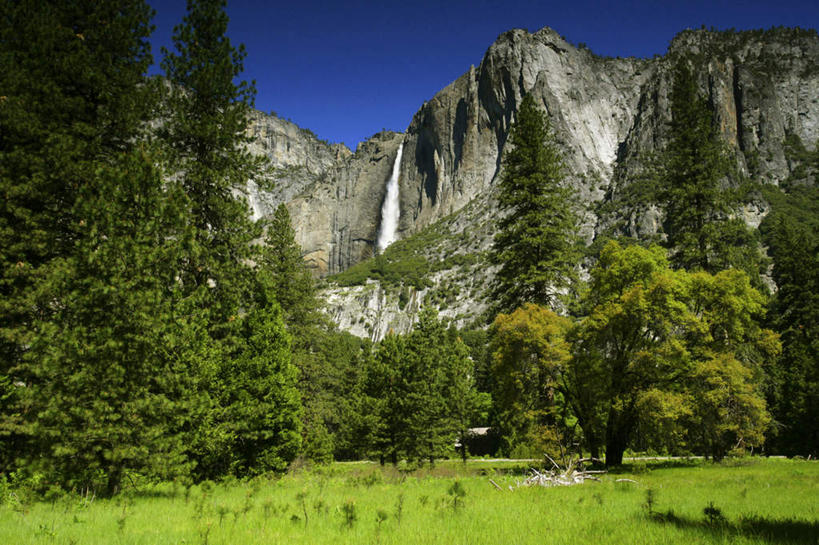 无人,公园,横图,室外,白天,正面,旅游,度假,草地,草坪,美景,山,山脉,植物,美国,阴影,光线,影子,景观,山峰,山峦,娱乐,草,树,树木,蓝色,绿色,蓝天,天空,阳光,自然,群山,天,享受,休闲,景色,放松,生长,晴朗,成长,北美,北美洲,国家公园,加利福尼亚,自然风光,约塞米蒂国家公园,美洲,加州,加利福尼亚州,万里无云,优胜美地国家公园,金州,黄金州,北亚美利加洲,亚美利加洲,美国尤塞米提国家公园,优山美地,约瑟米提国家公园,晴空,晴空万里,彩图