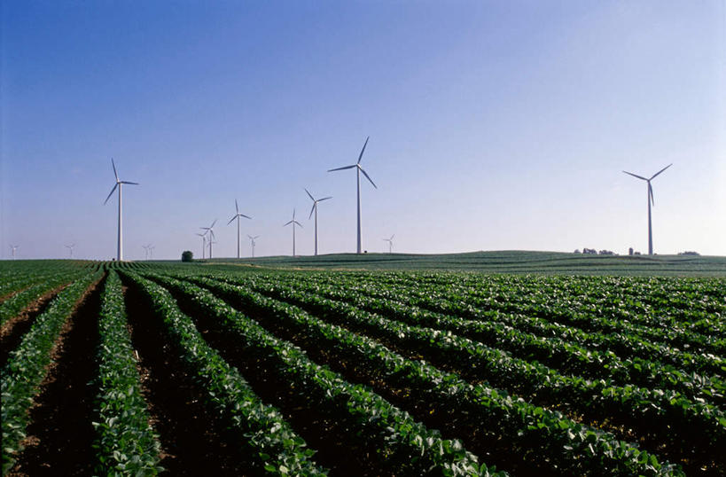 无人,农田,横图,室外,白天,正面,旅游,度假,农业,庄稼,农作物,风能,风力发电机,美景,风车,美国,阴影,环保,电力,光线,影子,景观,娱乐,设备,蓝色,蓝天,天空,阳光,自然,天,享受,休闲,发电,机械,景色,放松,工业,能源,晴朗,资源,北美,北美洲,风力机,自然风光,美洲,利用,低碳,万里无云,北亚美利加洲,亚美利加洲,爱荷华州,艾奥瓦,艾奥瓦州,爱我华州,衣阿华州,鹰眼州,美国粮仓,风力发电,晴空,晴空万里,彩图,耕地,庄稼田