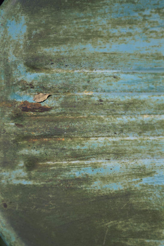 无人,竖图,俯视,室外,特写,白天,叶子,生锈,枯叶,落叶,地面,腐蚀,侵蚀,腐化,锈迹斑斑,叶,叶片,彩图,高角度拍摄