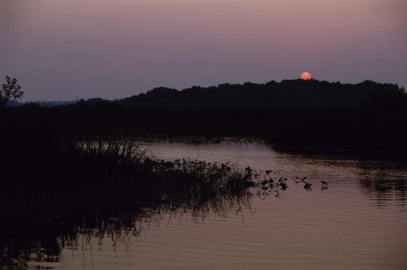 无人,横图,室外,白天,正面,旅游,度假,湖,湖泊,美景,日落,森林,树林,水,植物,巴西,波纹,湖面,景观,水流,水面,晚霞,霞光,落日,涟漪,背光,娱乐,树,树木,绿色,倒影,水纹,自然,黄昏,波浪,湖水,享受,休闲,景色,彩霞,南美,放松,湿地,生长,成长,南美洲,倒映,拉丁美洲,自然风光,美洲,逆光,巴西联邦共和国,水晕,亚美利加洲,南亚美利加洲,潘塔纳尔湿地,马托格罗索州,夕照,反照,夕阳,彩图,斜阳