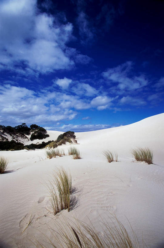无人,竖图,室外,白天,正面,旅游,度假,美景,沙漠,植物,澳大利亚,阴影,枯萎,光线,影子,景观,云,云朵,枯草,云彩,娱乐,草,黄色,蓝色,白云,蓝天,天空,阳光,自然,天,享受,休闲,景色,放松,晴朗,自然风光,大洋洲,澳洲,南方大陆,澳大利亚联邦,袋鼠岛,坎加鲁岛,大漠,砂漠,晴空,彩图