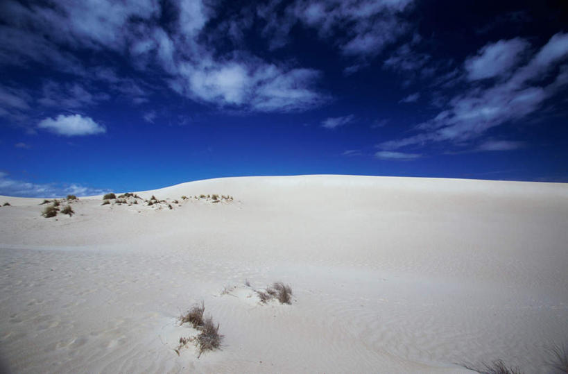 无人,横图,室外,白天,正面,旅游,度假,美景,沙漠,植物,澳大利亚,阴影,枯萎,光线,影子,景观,云,云朵,枯草,云彩,娱乐,草,黄色,蓝色,白云,蓝天,天空,阳光,自然,天,享受,休闲,景色,放松,晴朗,自然风光,大洋洲,澳洲,南方大陆,澳大利亚联邦,袋鼠岛,坎加鲁岛,大漠,砂漠,晴空,彩图