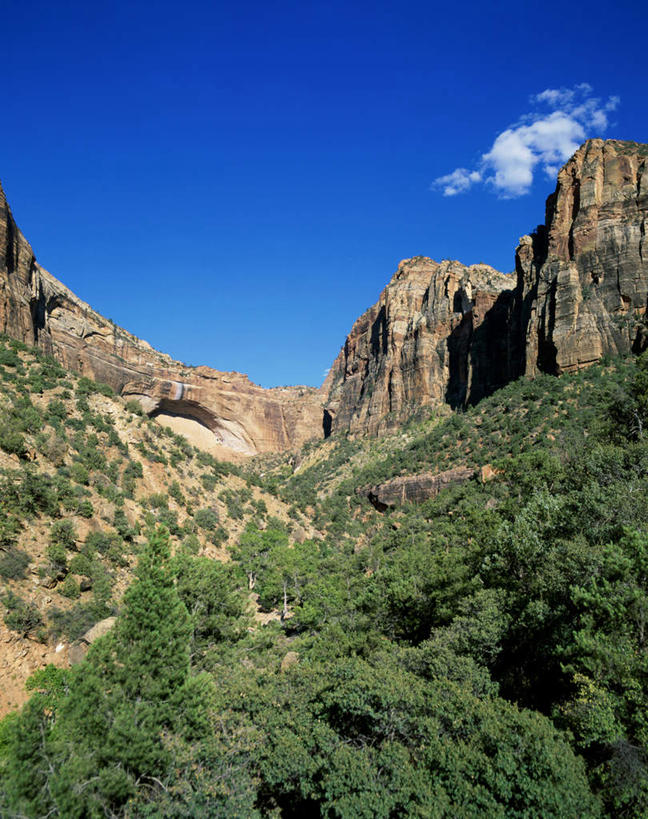 无人,公园,竖图,室外,白天,正面,旅游,度假,石头,美景,沙漠,山,山脉,植物,美国,阴影,光线,石子,影子,景观,山峰,云,云朵,山峦,云彩,娱乐,树,树木,蓝色,绿色,白云,蓝天,天空,阳光,自然,群山,天,享受,休闲,景色,放松,生长,晴朗,成长,北美,北美洲,犹他州,自然风光,美洲,北亚美利加洲,亚美利加洲,犹他,蜂窝之州,蜂房州,锡安国家公园,宰恩国家公园,大漠,砂漠,石块,岩石,晴空,彩图