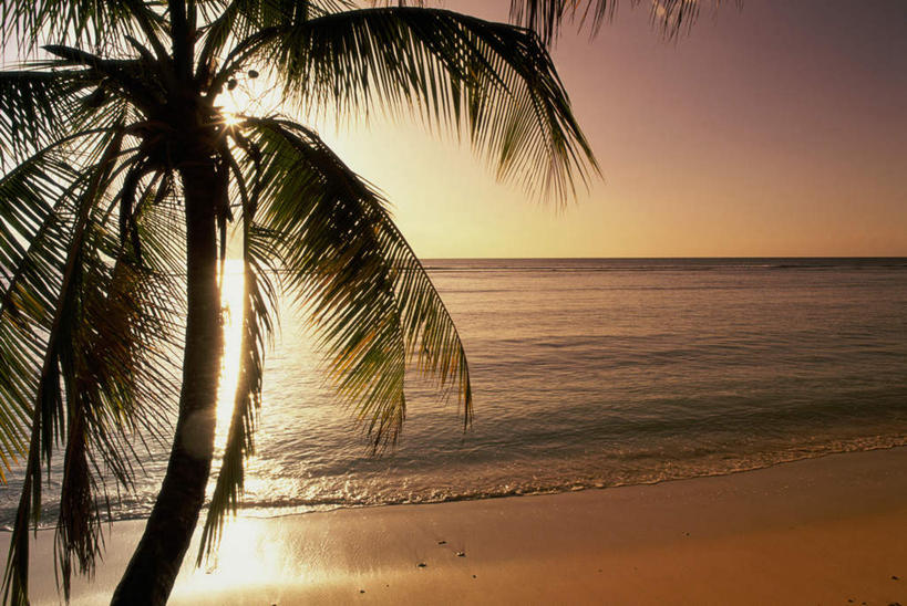 无人,横图,室外,白天,正面,旅游,度假,海浪,海洋,美景,日落,植物,棕榈树,叶子,特立尼达和多巴哥,景观,浪花,水平线,晚霞,霞光,落日,辽阔,绿叶,海平线,背光,娱乐,树,树木,绿色,自然,海水,黄昏,享受,休闲,广阔,嫩叶,景色,彩霞,放松,生长,成长,一望无际,自然风光,美洲,逆光,海景,棕榈叶,特立尼达和多巴哥共和国,亚美利加洲,中美,无边无际,一马平川,夕照,岛国,叶,叶片,大海,风浪,海,海水的波动,近岸浪,涌浪,夕阳,彩图,水天相接,水天一线,斜阳