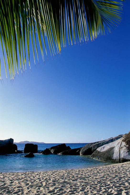 无人,竖图,室外,白天,正面,旅游,度假,海浪,海洋,石头,美景,沙滩,植物,棕榈树,叶子,加勒比海,阴影,光线,沙子,石子,影子,海岸,景观,浪花,绿叶,沙地,娱乐,树,树木,蓝色,绿色,蓝天,天空,阳光,自然,海水,天,享受,休闲,嫩叶,景色,南美,放松,生长,晴朗,成长,南美洲,拉丁美洲,自然风光,美洲,海景,棕榈叶,沉积岩,万里无云,英属维尔京群岛,英属维京群岛,维京群岛,亚美利加洲,南亚美利加洲,处女群岛,维尔京戈尔达岛,维尔京群岛,英属处女群岛,水成岩,叶,叶片,大海,风浪,海,海水的波动,海滩,近岸浪,石块,岩石,涌浪,晴空,晴空万里,彩图