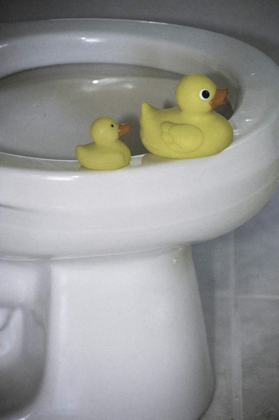 无人,竖图,俯视,室内,白天,游戏,生活用品,卫生间,洗手间,玩具,阴影,朦胧,模糊,反射,鸭子,影子,马桶,玩,娱乐,两只,休闲,橡胶,益智,座便器,活动,发泄,消遣,智力,卫浴,橡胶制品,宣泄,子孙桶,橡胶小鸭,橡皮小鸭,厕所,玩耍,嬉戏,彩图,高角度拍摄