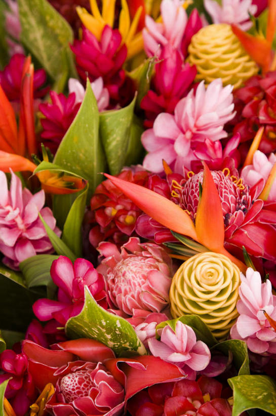 无人,商店,竖图,俯视,室内,特写,白天,购物,消费,植物,叶子,许多,盛开,纹理,绿叶,很多,花蕾,商铺,花,花瓣,花朵,鲜花,红色,绿色,花苞,花蕊,嫩叶,金融,大洋洲,选购,贸易,塔希提岛,法属波利尼西亚,社会群岛,肌理,大溪地,血拼,法属玻利尼西亚,市肆,商号,塔西提岛,叶,叶片,叶脉,彩图,高角度拍摄,店铺