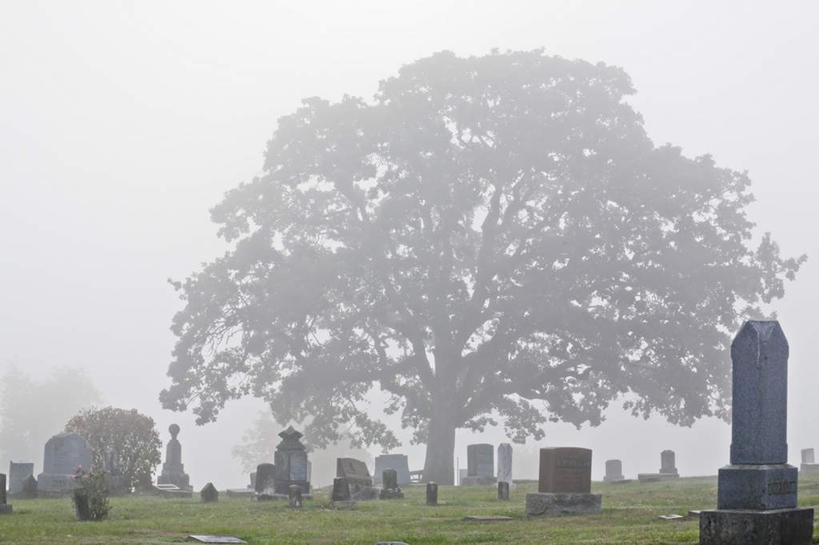 无人,横图,室外,白天,正面,旅游,度假,草地,草坪,石头,美景,植物,雾,美国,朦胧,模糊,石子,景观,娱乐,草,树,树木,绿色,自然,墓碑,享受,休闲,墓地,景色,放松,生长,成长,迷雾,北美,坟墓,陵墓,北美洲,自然风光,美洲,坟场,俄勒冈州,沉积岩,俄勒冈,北亚美利加洲,亚美利加洲,落日之州,水獭之州,海狸州,水成岩,石块,岩石,大雾,彩图