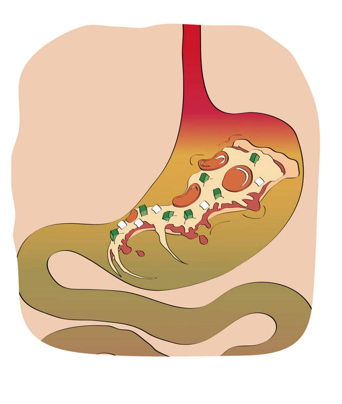 腹部,内脏,胃,动脉,静脉,无人,竖图,插画,室内,白天,白色背景,正面,烹饪,西餐,数码,科技,静物,阴影,网络,医学,肉,香肠,料理,食品,披萨,匹萨,腊肠,高光,几何,计算机图形,合成,图画,猪肉,菜肴,美食,肉类,画,食物,模型,快餐,西式,人体,佳肴,电脑合成图,数码合成图,生物学,人体器官,比萨,器官,合成图,漫画,肉食,西式快餐,垃圾食品,意大利薄饼,豚肉,生理学,写实,具体,具象,胃部,彩图