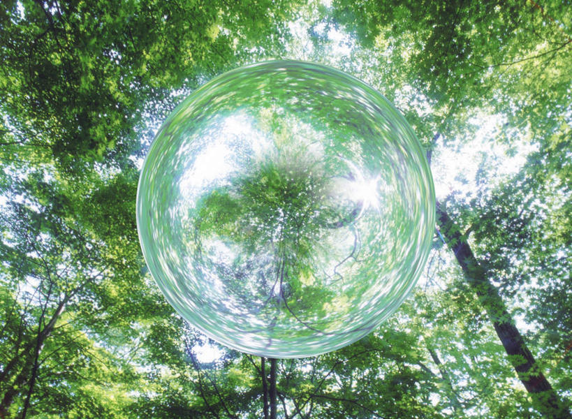 无人,横图,室内,特写,白天,正面,数码,科技,树林,植物,阴影,朦胧,模糊,漂浮,透明,光线,网络,影子,高光,几何,计算机图形,合成,球,树,树木,一个,绿色,阳光,自然,球体,生长,单个,成长,电脑合成图,数码合成图,透视,合成图,写实,具体,具象,彩图