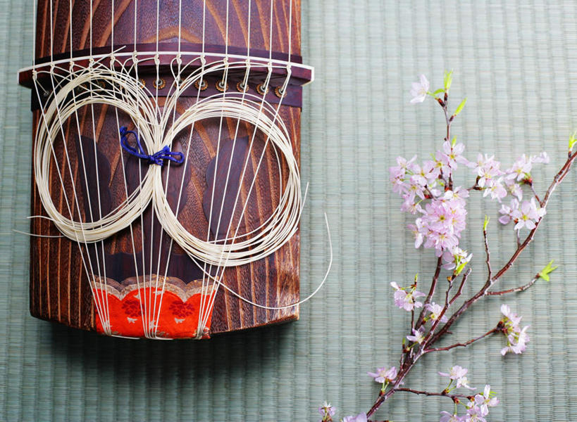 无人,横图,俯视,室内,特写,白天,幸福,纯洁,植物,樱花,静物,阴影,盛开,反射,木制,席子,影子,枝条,乐器,弦乐器,塌塌米,榻榻米,花蕾,花,花瓣,花朵,鲜花,树,树木,树枝,一个,红色,木制品,花苞,花蕊,摄影,影棚,单个,等待,生命,弹拨弦鸣乐器,古筝,弹弦乐器,仙樱花,福岛樱,青肤樱,高尚,热烈,民族乐器,虬枝,枝杈,叠席,荆桃,彩图,高角度拍摄,影棚拍摄,拍摄,弹拨弦乐器