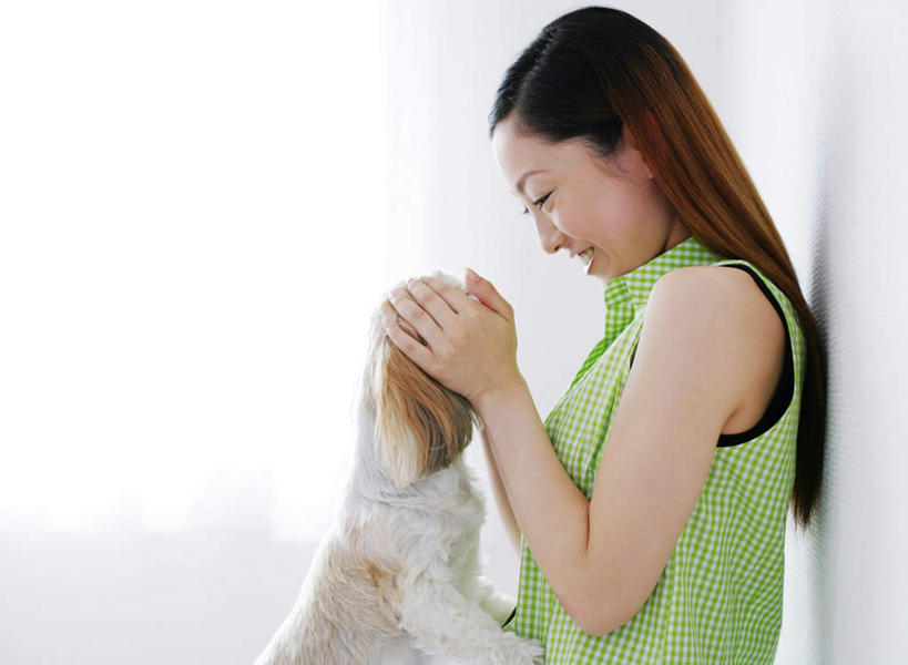 东方人,一个人,坐,笑,摸,微笑,露齿笑,横图,室内,白天,白色背景,侧面,宠物,狗,亚洲,仅一个年轻女性,仅一个女性,仅一个人,抚摸,阴影,服装,反射,影子,注视,休闲装,黄种人,北京犬,狮子狗,一只,衣服,动物,低头,观察,看,休闲,休闲服,可爱,摄影,服饰,影棚,观看,察看,关注,忠诚,北京宫廷犬,京巴,年轻女性,女人,女性,亚洲人,犬,触摸,接触,坐着,半身,彩图,影棚拍摄,拍摄