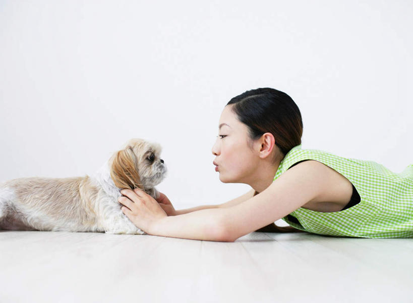 东方人,嘴,一个人,摸,横图,室内,白天,白色背景,侧面,宠物,狗,亚洲,仅一个年轻女性,仅一个女性,仅一个人,抚摸,阴影,服装,反射,影子,注视,休闲装,黄种人,北京犬,狮子狗,一只,衣服,绿色,动物,嘟嘴,观察,看,趴着,休闲,休闲服,撅嘴,可爱,摄影,服饰,影棚,观看,察看,关注,忠诚,北京宫廷犬,京巴,年轻女性,女人,女性,亚洲人,嘴巴,嘴唇,犬,触摸,接触,趴,半身,彩图,影棚拍摄,拍摄