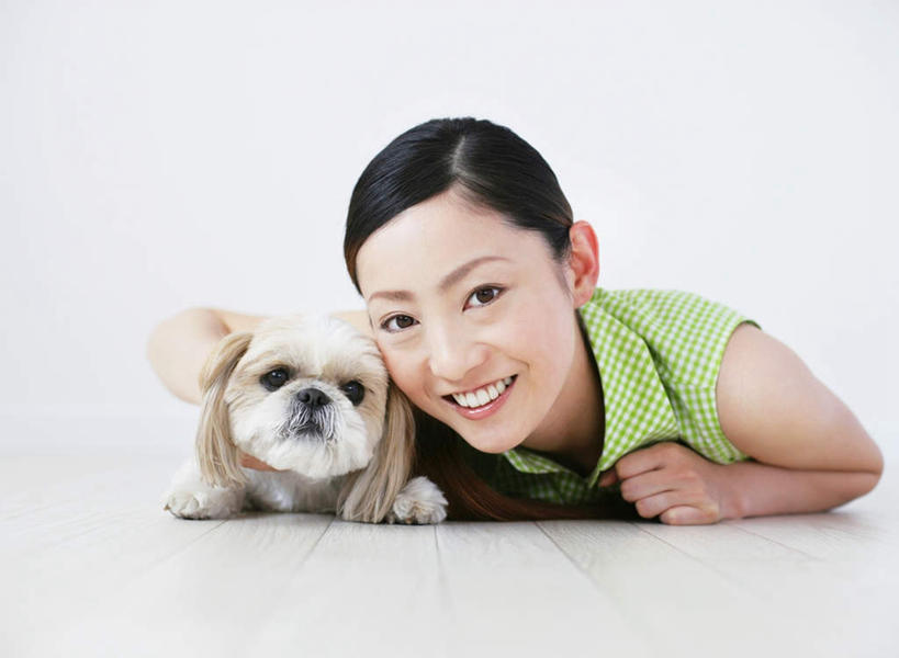 东方人,一个人,笑,微笑,露齿笑,横图,室内,白天,白色背景,正面,宠物,狗,亚洲,仅一个年轻女性,仅一个女性,仅一个人,阴影,服装,反射,影子,扭头,注视,休闲装,黄种人,北京犬,狮子狗,一只,衣服,绿色,动物,观察,看,趴着,转头,休闲,休闲服,可爱,摄影,服饰,影棚,观看,察看,关注,忠诚,北京宫廷犬,京巴,年轻女性,女人,女性,亚洲人,犬,趴,彩图,全身,影棚拍摄,拍摄