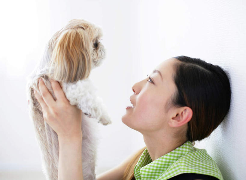 东方人,一个人,坐,举,抱,横图,室内,白天,白色背景,侧面,宠物,狗,亚洲,仅一个年轻女性,仅一个女性,仅一个人,阴影,服装,反射,影子,注视,休闲装,黄种人,北京犬,狮子狗,一只,衣服,动物,观察,看,靠,靠着,托,休闲,休闲服,可爱,摄影,服饰,影棚,抱着,观看,察看,搂着,关注,忠诚,北京宫廷犬,京巴,年轻女性,女人,女性,亚洲人,犬,举起,举手,举着,搂,搂抱,抬头,向上举,向上伸,向上托,仰头,坐着,半身,彩图,影棚拍摄,拍摄