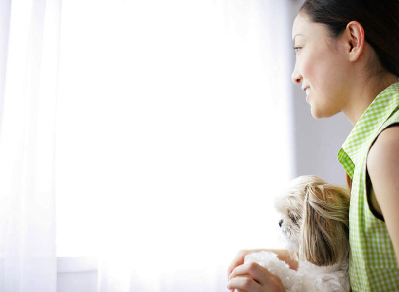 东方人,一个人,坐,抱,笑,微笑,露齿笑,横图,室内,白天,侧面,窗户,窗帘,宠物,狗,椅子,亚洲,仅一个年轻女性,仅一个女性,仅一个人,阴影,服装,朦胧,模糊,装饰,反射,影子,木椅,墙,注视,休闲装,黄种人,北京犬,狮子狗,玻璃窗,墙壁,墙面,一只,衣服,白色,帘子,动物,观察,看,休闲,休闲服,遮阳,可爱,服饰,抱着,观看,华丽,修饰,点缀,察看,搂着,关注,忠诚,衬托,美观,雅致,雅观,北京宫廷犬,京巴,年轻女性,女人,女性,亚洲人,犬,搂,搂抱,坐着,半身,彩图