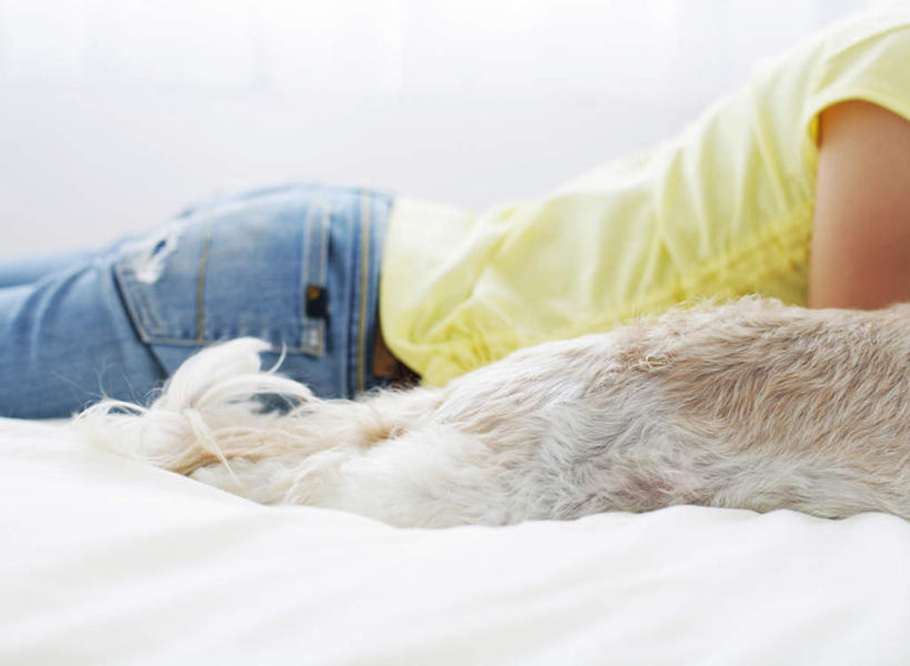 东方人,一个人,躺,横图,室内,特写,白天,侧面,床,卧室,宠物,狗,亚洲,仅一个年轻女性,仅一个女性,仅一个人,服装,裤子,朦胧,模糊,双人床,床单,牛仔裤,休闲装,黄种人,北京犬,狮子狗,被子,腰带,一只,衣服,绿色,动物,趴着,休闲,休闲服,可爱,服饰,皮带,被单,配饰,忠诚,裤带,北京宫廷犬,京巴,卧着,年轻女性,女人,女性,亚洲人,犬,趴,躺着,卧,半身,彩图,睡房,卧房