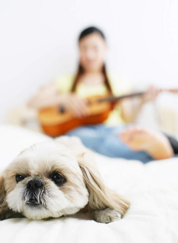 东方人,一个人,躺,竖图,室内,白天,正面,床,卧室,宠物,狗,亚洲,仅一个年轻女性,仅一个女性,仅一个人,握,服装,裤子,朦胧,模糊,墙,双人床,床单,吉他,乐器,弦乐器,弹奏,拿,拿着,注视,牛仔裤,休闲装,黄种人,光脚,北京犬,狮子狗,被子,墙壁,墙面,一只,衣服,白色,动物,观察,看,休闲,赤脚,休闲服,可爱,握着,服饰,观看,察看,被单,关注,弹拨弦鸣乐器,忠诚,北京宫廷犬,京巴,卧着,年轻女性,女人,女性,亚洲人,犬,躺着,卧,彩图,全身,睡房,卧房,弹拨弦乐器