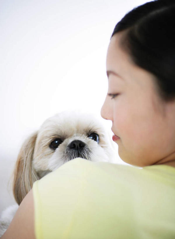 东方人,脸,头,脸颊,一个人,站,笑,微笑,竖图,室内,特写,白天,宠物,狗,亚洲,仅一个年轻女性,仅一个女性,仅一个人,阴影,服装,朦胧,模糊,反射,影子,扭头,注视,休闲装,黄种人,北京犬,狮子狗,肩膀,一只,骑,背面,衣服,动物,观察,看,扛,站着,转头,休闲,休闲服,可爱,服饰,观看,察看,关注,忠诚,北京宫廷犬,京巴,扛在肩上,骑在肩上,年轻女性,女人,女性,亚洲人,头部,脸部,脸蛋,面部,犬,站立,半身,彩图