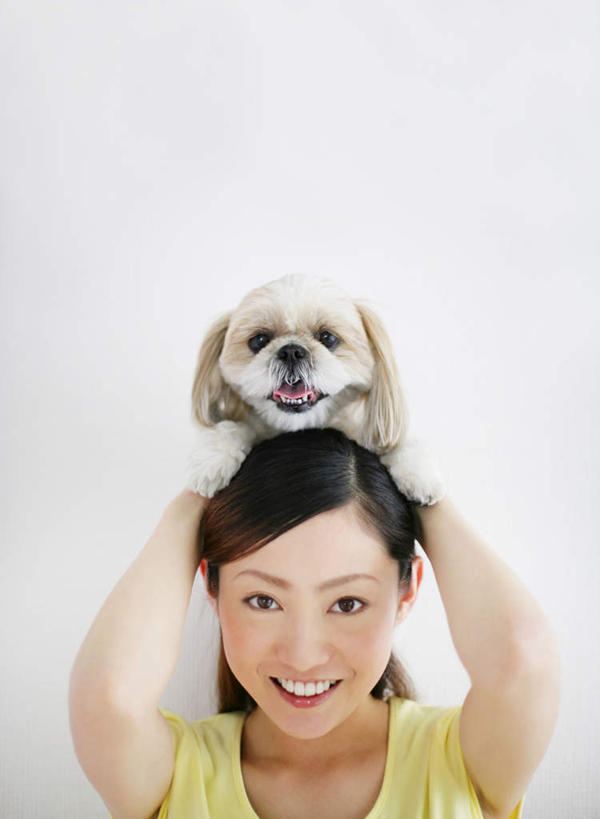 东方人,脸,头,脸颊,手,一个人,站,笑,微笑,露齿笑,竖图,室内,特写,白天,白色背景,正面,宠物,狗,亚洲,双手,仅一个年轻女性,仅一个女性,仅一个人,阴影,服装,反射,影子,注视,休闲装,黄种人,北京犬,狮子狗,肩膀,一只,骑,衣服,绿色,动物,观察,看,扛,站着,休闲,手部,休闲服,可爱,摄影,服饰,影棚,观看,察看,双手抱头,关注,忠诚,北京宫廷犬,京巴,扛在肩上,骑在肩上,年轻女性,女人,女性,亚洲人,头部,脸部,脸蛋,面部,犬,站立,半身,彩图,影棚拍摄,拍摄
