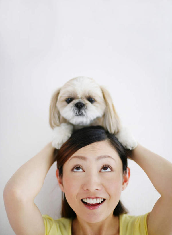 东方人,脸,头,脸颊,手,一个人,站,笑,微笑,露齿笑,竖图,室内,特写,白天,白色背景,正面,宠物,狗,亚洲,双手,仅一个年轻女性,仅一个女性,仅一个人,阴影,服装,反射,影子,注视,休闲装,黄种人,北京犬,狮子狗,肩膀,一只,骑,衣服,绿色,动物,观察,看,扛,站着,休闲,手部,休闲服,可爱,摄影,服饰,影棚,观看,察看,双手抱头,关注,忠诚,北京宫廷犬,京巴,扛在肩上,骑在肩上,年轻女性,女人,女性,亚洲人,头部,脸部,脸蛋,面部,犬,抬头,仰头,站立,半身,彩图,影棚拍摄,拍摄