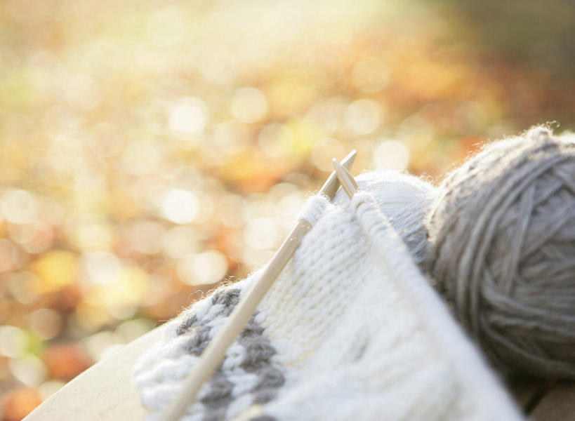 无人,横图,室外,特写,白天,正面,秋季,静物,叶子,阴影,朦胧,模糊,卷曲,编织,缠绕,光线,影子,枯叶,落叶,织物,线团,针,纺织,阳光,毛线,毛衣针,编织针,叶,叶片,秋,秋天,彩图