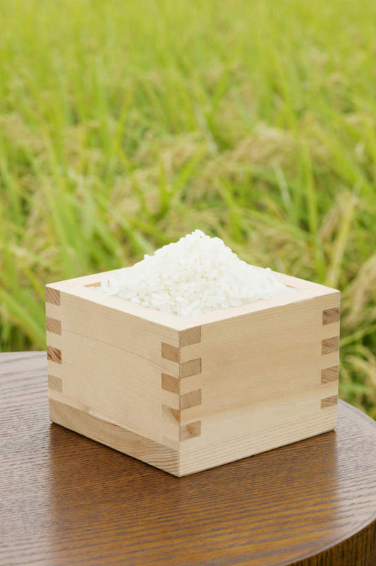 无人,农田,竖图,俯视,室外,特写,白天,庄稼,农作物,小麦,桌面,桌子,一堆,堆叠,堆积,朦胧,模糊,木制,木盒,谷类,谷物,米,大米,一个,木制品,容器,麦子,单个,储藏,堆,储存,衣鱼,彩图,高角度拍摄,耕地,庄稼田,贮存