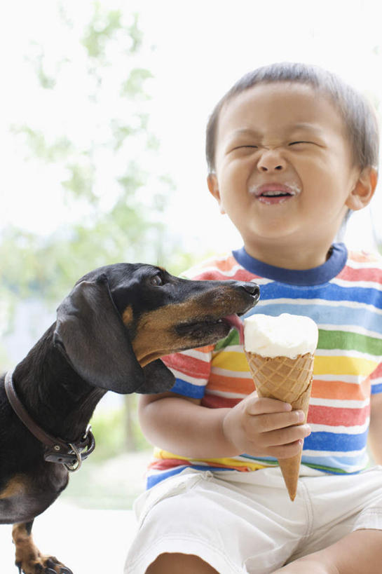 东方人,儿童,一个人,坐,闭眼,哭,竖图,室内,白天,正面,纯洁,植物,窗户,宠物,狗,亚洲,仅一个男性,仅一个人,握,服装,朦胧,模糊,腊肠犬,冰激凌,迷你腊肠犬,清凉,拿,拿着,休闲装,黄种人,腊肠狗,玻璃窗,树,树木,一只,小孩,衣服,绿色,自然,动物,冷饮,仅一个小孩,休闲,舒服,休闲服,冰淇淋,可爱,童年,童趣,握着,眼泪,服饰,生长,成长,解暑,泪水,解渴,雪糕,童真,烂漫,无邪,舒爽,忠诚,冰糕,消暑,迷你腊肠狗,天真,男孩,男人,男性,亚洲人,孩子,犬,闭眼睛,闭着眼,闭着眼睛,坐着,半身,彩图,哭泣,哭啼,男生