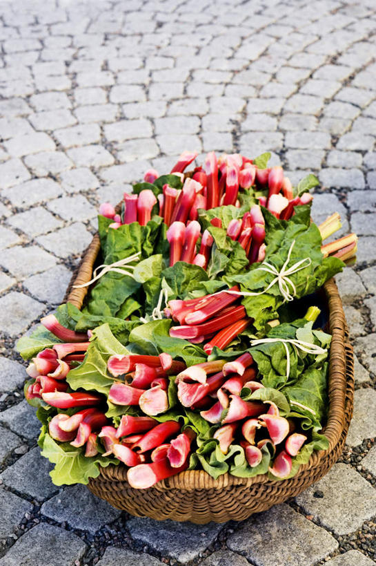 无人,竖图,俯视,室外,白天,石头,蔬菜,叶子,一堆,许多,堆叠,堆积,新鲜,花篮,篮子,石子,食品,绿叶,地面,食物,红色,嫩叶,有机食品,绿色食品,堆,捆绑,大黄,绑缚,叶,叶片,石块,彩图,高角度拍摄