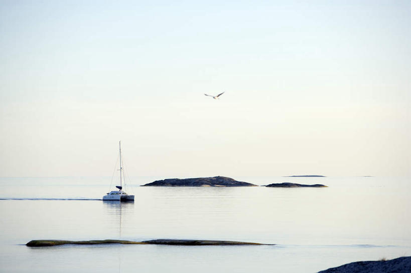 无人,横图,室外,白天,仰视,海浪,海洋,山,山脉,植物,轮船,船,飞翔,飞行,大雁,浪花,山峰,山峦,翱翔,飞,树,树木,一只,蓝色,绿色,蓝天,天空,自然,海水,交通工具,群山,天,生长,晴朗,成长,载具,海景,万里无云,大海,风浪,海,海水的波动,近岸浪,涌浪,晴空,晴空万里,彩图,低角度拍摄