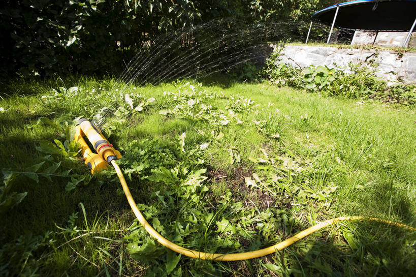 无人,横图,室外,白天,正面,草地,草坪,水,植物,阴影,飞溅,溅,光线,管子,液体,影子,塑料,水滴,水管,水珠,草,树,树木,绿色,阳光,自然,塑料制品,生长,成长,软管,喷洒,塑料管,洒水机,彩图,合成材料