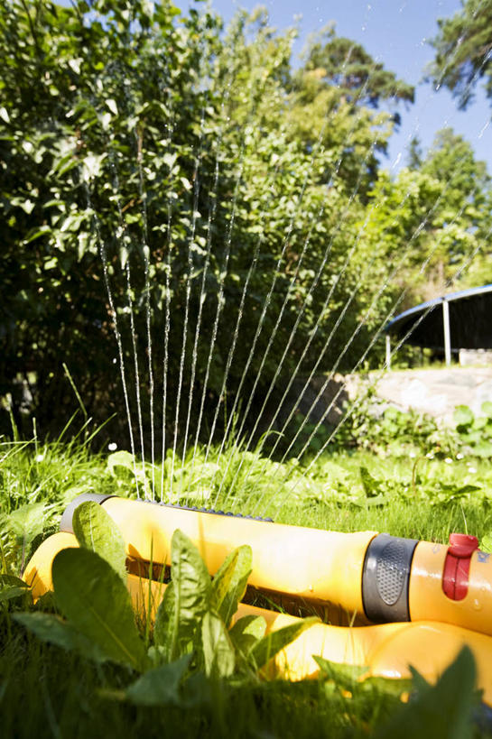 无人,竖图,室外,白天,正面,草地,草坪,水,植物,阴影,飞溅,溅,光线,液体,影子,水滴,云,云朵,云彩,水珠,草,树,树木,蓝色,绿色,白云,蓝天,天空,阳光,自然,天,生长,晴朗,成长,喷洒,洒水机,晴空,彩图