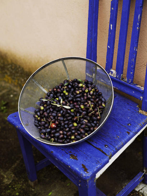 无人,竖图,俯视,室外,特写,白天,橄榄,水果,椅子,一堆,许多,堆叠,堆积,新鲜,墙,生食,食品,果实,很多,墙壁,墙面,食物,容器,有机食品,绿色食品,储藏,堆,黑橄榄,储存,漏勺,乌橄榄,乌榄,油橄榄,青果,白榄,彩图,高角度拍摄,贮存