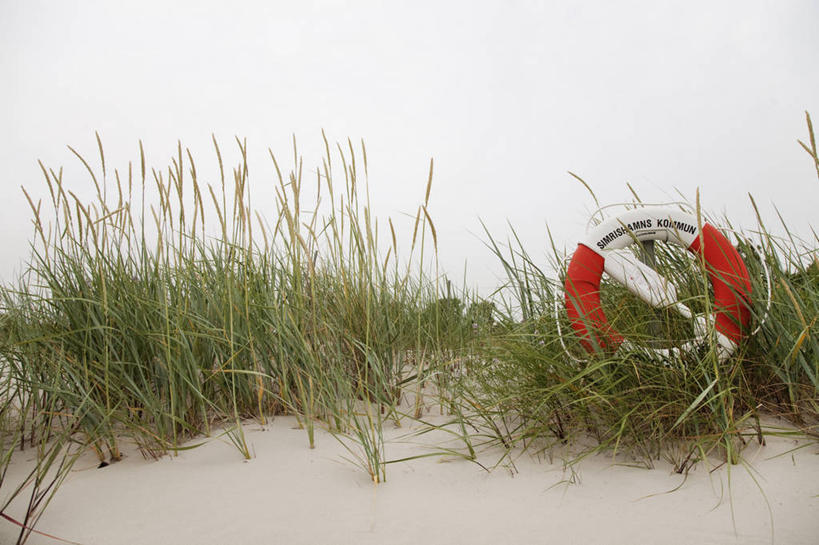 游泳,无人,横图,室外,白天,正面,旅游,度假,草地,美景,沙滩,植物,瑞典,欧洲,救生圈,沙子,塑料,海岸,景观,沙地,娱乐,草,绿色,自然,塑料制品,游泳圈,享受,休闲,景色,放松,充气,救生,斯堪的纳维亚,自然风光,北欧,斯堪的那维亚,斯堪的那维亚半岛,斯堪的纳维亚半岛,泅水,瑞典王国,海滩,彩图,斯堪尼省