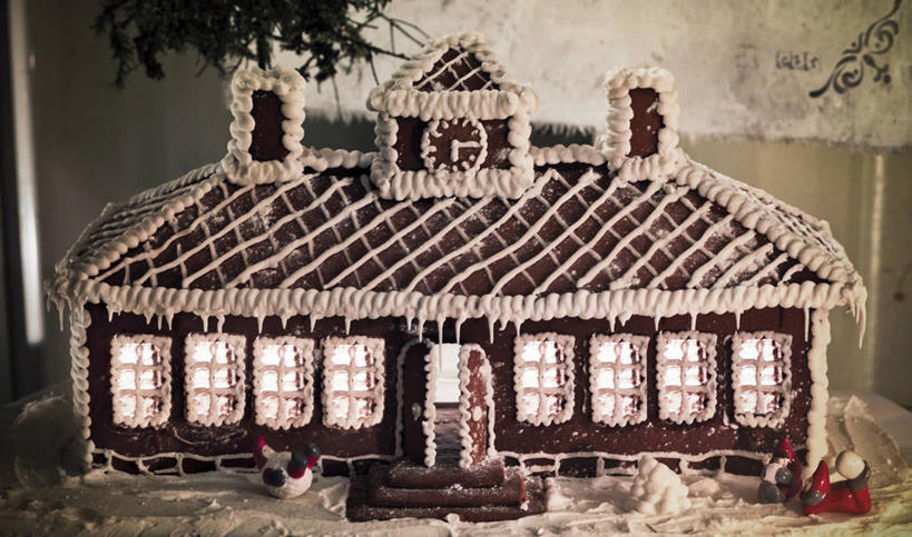 点心,无人,横图,室内,白天,正面,植物,餐桌,桌子,圣诞节,阴影,节日,庆祝,反射,影子,食品,甜点,圣诞树,文化,树,树木,食物,糕点,绿色,自然,饼干,甜食,零食,庆典,生长,成长,餐台,纪念,姜饼,姜饼屋,德式姜饼,彩图,圣诞姜饼屋