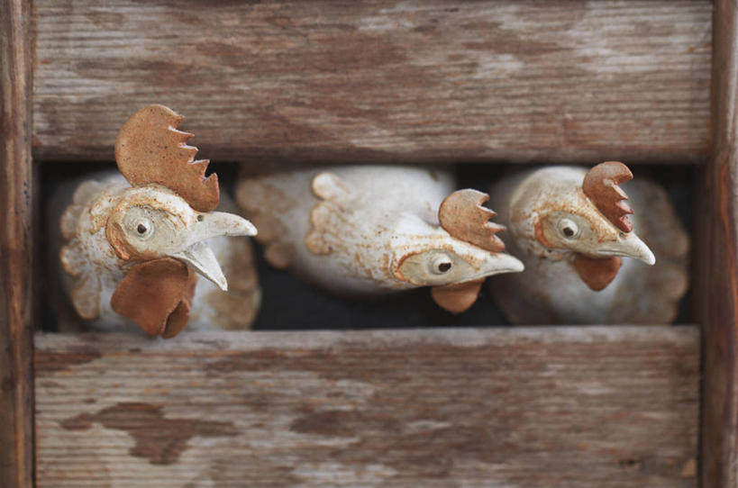 头,无人,栏杆,站,横图,室外,特写,白天,正面,鸡,瑞典,欧洲,三只,木制,栅栏,篱笆,围栏,注视,护栏,家禽,动物,木制品,观察,看,站着,牲畜,观看,察看,斯堪的纳维亚,关注,北欧,斯堪的那维亚,斯堪的那维亚半岛,斯堪的纳维亚半岛,首府,哥德堡,瑞典王国,西约塔兰省,头部,站立,半身,彩图